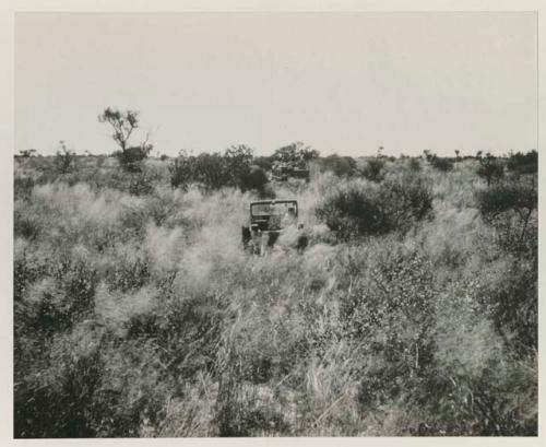 Jeep going through brush, truck in background