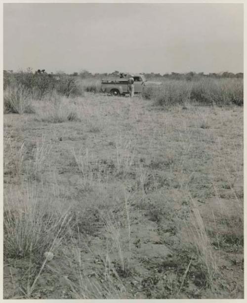 Landscape with trucks and people in the background