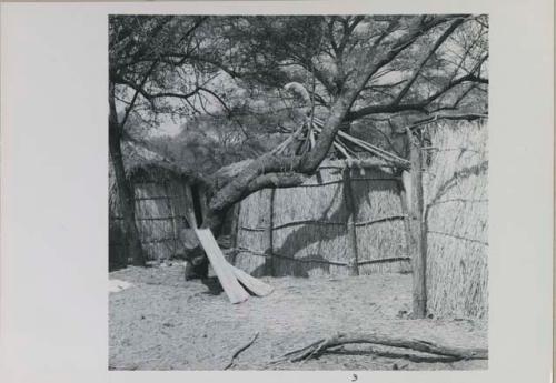 Hunting village on Muzwamo River, showing fence and huts
