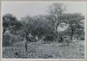 Long view of hunting village on the Muzwamo River