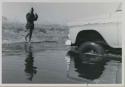 Kernel Ledimo guiding an expedition vehicle (Chevrolet) as it crosses the Muzwamo River
