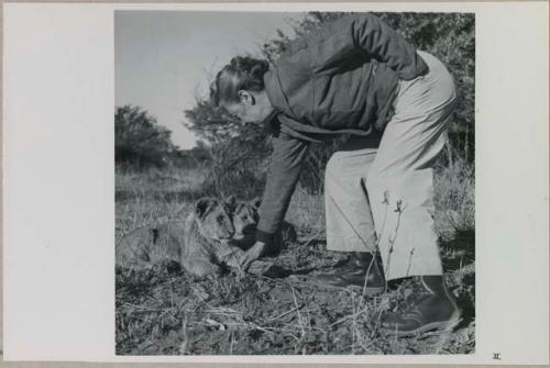 Lorna Marshall bending over and patting one of the two lion cubs
