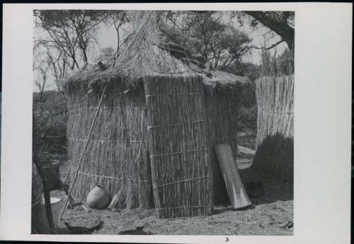 Woman standing and another person sitting near chickens in distance, with pestle in foreground