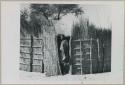 Woman standing at the partially opened gate of a hut compound