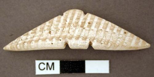 Shell, bivalve, carved into a triangle and notched top and bottom