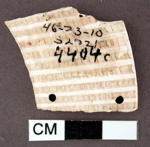 Shell, worked fragment, rectangular with two perforation along one end