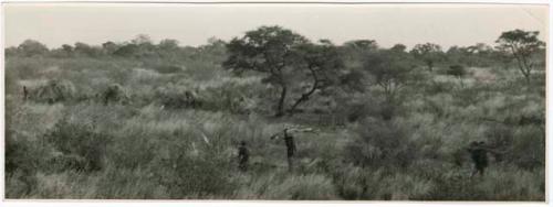 "Living places, shelters": People returning to the werft with wood, showing the central tree and the cleared places where dances take place, distant view (print is a cropped image)