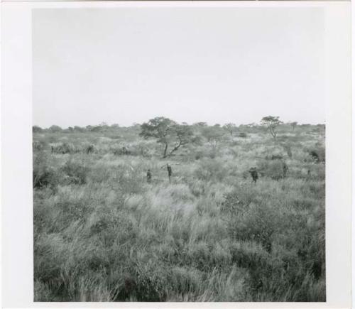 "Living places, shelters": People returning to the werft with wood, showing the central tree and the cleared places where dances take place, distant view (print is a cropped image)