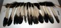 Man's belt of black bear skin with 13 eagle feathers. Buckskin ties in front.