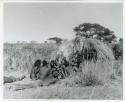 [No folder title]: Group of Ju/'hoansi telling stories including "Lame ≠Gao," ≠Gao (Khwo//o-/Gasa's husband), "Gao Medicine," an unidentified person, ≠Toma, !Naishi, "Old Xama," "Gao Helmet," "Old Demi" lying down, Crooked /Qui, Gao (Debe's son, Zuma's husband), and ≠Toma (!Naishi's son) (print is a cropped image)