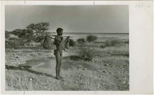 [No folder title]: /Ti!kay carrying bags on a carrying stick and an assegai, with Gautscha Pan in the background (print is a cropped image)