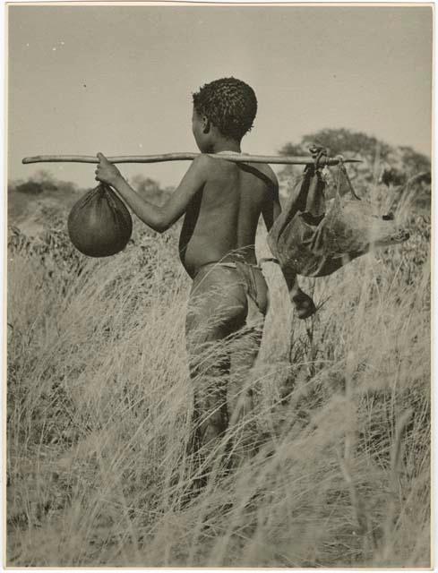 "Water": Boy carrying a water bag made from an animal stomach and another bag on a digging stick on his shoulder, view from behind (print is a cropped image)