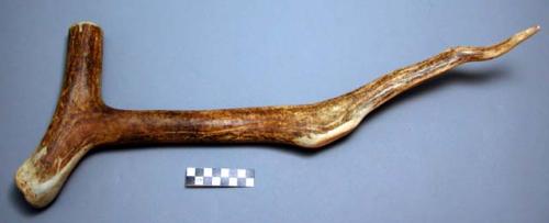 Root digger of caribou antler.