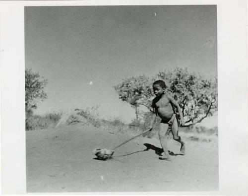 "Children in groups": /Gaishay, ≠Toma's son, pushing a tortoise shell with a stick (print is a cropped image)