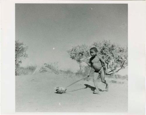 "Children in groups": /Gaishay, ≠Toma's son, pushing a tortoise shell with a stick (print is a cropped image)