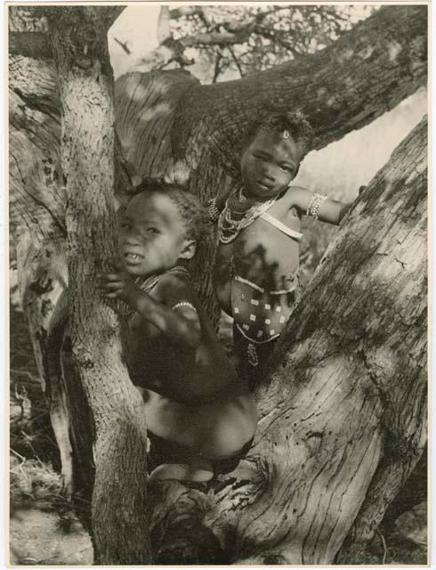 "Children in groups": Children playing in a tree (print is a cropped image)