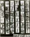 Contact sheet, 1961 Marshall expedition, roll 5