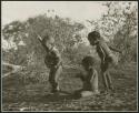 "Children playing curing dance": /Gaishay (son of Di!ai and "Gao Medicine"), Bau (daughter of "Crooked /Qui" and //Khuga), and "Little ≠Gao" (son of "/Qui Navel" and //Kushay) dancing a medicine dance (print is a cropped image)