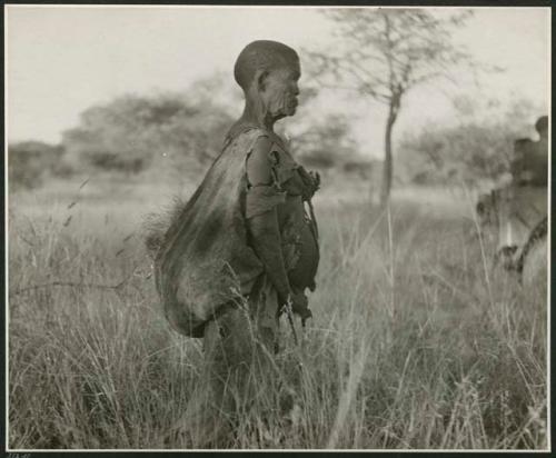 "Water": Woman carrying a load of grass in her kaross, profile (print is a cropped image)