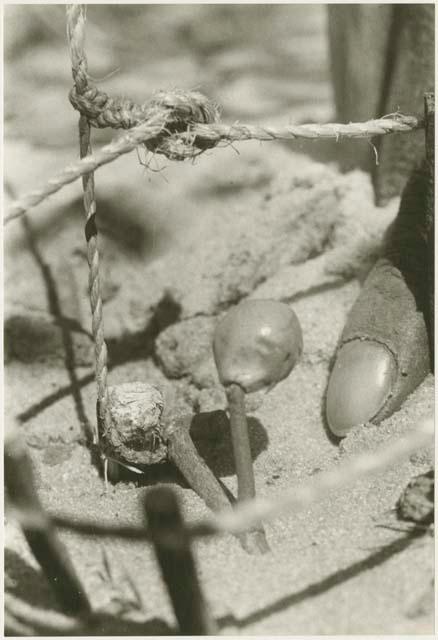 Snare with a person's finger for size comparison (print is a cropped image)