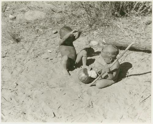 N!whakwe and a "visiting baby" playing with a tsama melon and a digging stick (print is a cropped image)