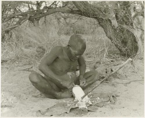 Oukwane scraping a water root, seated (print is a cropped image)