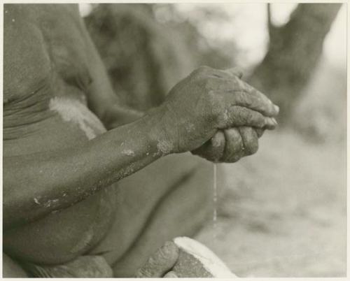 Oukwane's hands squeezing the pulp of a water root (print is a cropped image)