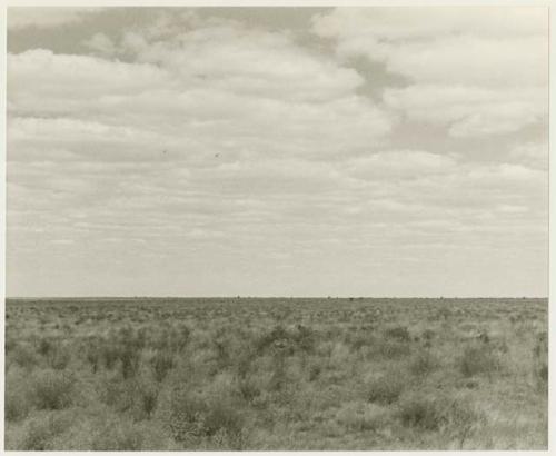 Landscape of the veld (print is a cropped image)