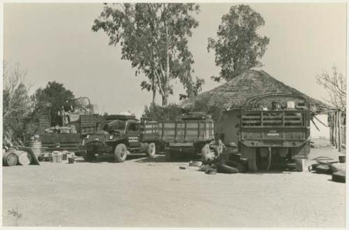 Expedition's trucks off-loading at one of its camps beside a hut (print is a cropped image)