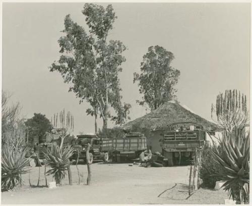 Expedition's trucks off-loading at one of its camps beside a hut, seen from a distance (print is a cropped image)