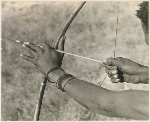 Hands of "Crooked /Qui," showing position of hand on bow and right hand pulling back the bow string (print is a cropped image)