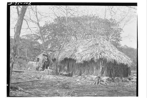 Rectangular house and thatched walls