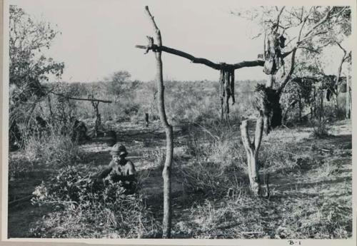 "Old /Gao" sitting by a trestle with meat hanging from it


