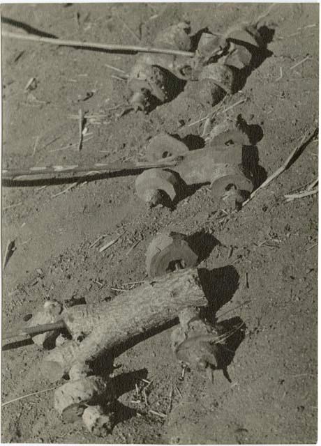 "Toys, Gun, Tsamgao's camera": Toy cars made from veldkos by boys (print is a cropped image)