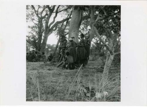 "The 1957-8 Games": Group of women and girls playing Tcxai Djxani (a dancing game) at a tree, with a group of men and boys sitting in the background