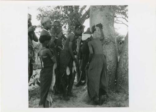 "The 1957-8 Games": Group of women and girls playing Tcxai Djxani (a dancing game), with N!ai dancing in a hole at the base of the tree, and ≠Nisa clapping