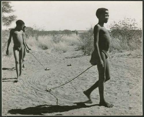 "Auto": Boys pulling toy cars made from veldkos with sticks (print is a cropped image)