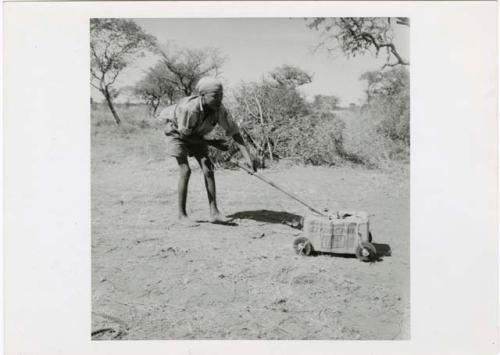 "Auto": Tsamgao pulling a carton on wheels (print is a cropped image)