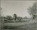 "Stick Throwing Game": Boys playing Bah n≠aq’u (the stick throwing game) (print is a cropped image)