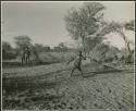 "Stick Throwing Game": /Gaishay (son of "Gao Medicine" and Di!ai playing Bah n≠aq’u (the stick throwing game) (print is a cropped image)