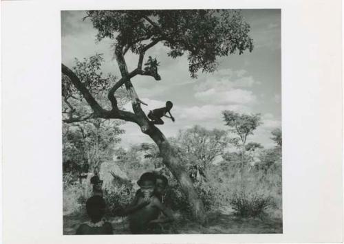 "Tree & swing": Boy jumping from a tree, with a group of boys standing under the tree (print is a cropped image)