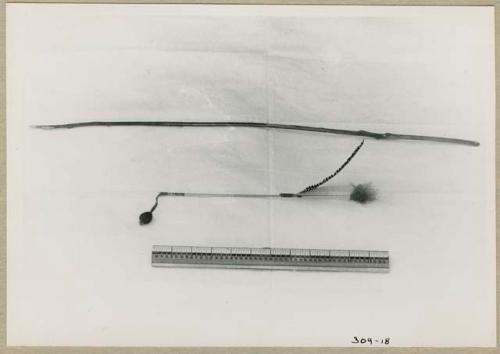 "The Jani [Djani]": Djani bird (helicopter toy) and its stick and a ruler for measurement (print is a cropped image)