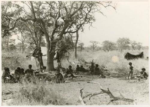 "The 1955 study of groups with children": Werft with a group of people under trees, their belongings hanging in the branches; expedition tents in the background, the sound equipment tent on the right (print is a cropped image)