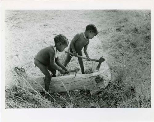 "Children": Bau (daughter of /Qui and //Khuga) and /Gaishay (son of "Gao Medicine" and Di!ai) chopping a log with axes (print is a cropped image)