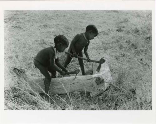 "Children": Bau (daughter of /Qui and //Khuga) and /Gaishay (son of "Gao Medicine" and Di!ai) chopping a log with axes (print is a cropped image)