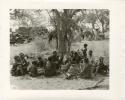 "Photos of Children": Group of people seated under a tree including "Beautiful !Ungka" and her unidentified cousin to the left and an unidentified, visiting girl to the right (print is a cropped image)