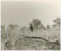 Person standing in grass, distant view (print is a cropped image)