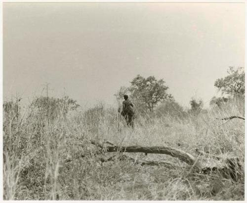 Person standing in grass, distant view (print is a cropped image)