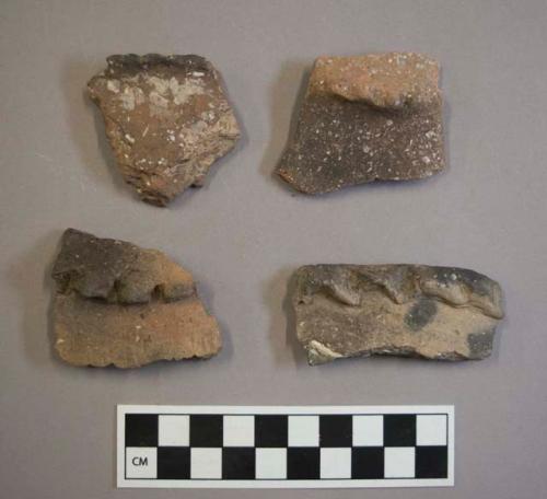 Ceramic, earthenware rim sherds, one with notched rim and undecorated body, one with molded pinched rim and undecorated body, one with molded rim and cord-impressed body, shell-tempered; ceramic, earthenware handle sherd, with notched molded ridge, shell-tempered