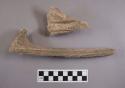 Antler fragments with grooves